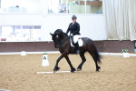 SBM_004033
