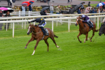 140723-Race 2-Swingalong-8125