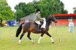 SBM_01022