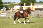 SBM_09569