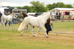SBM_04162