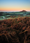 Roseberry Topping 2 - Low Lying Frost. (Portrait)