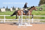 BPP_1997