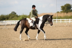 SBM_06817