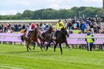150526-Race 5-Rahiebb-8111