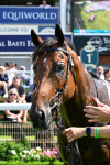 280625-Race 3-Squealer-0268