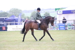 SBM_11444