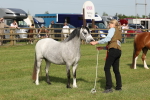 SBM_00646