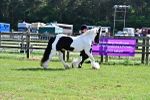 SBM_10133