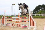 Class 9: Senior Foxhunter/1.20 open portfolio