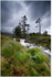 Connaught's Wild Landscape portfolio
