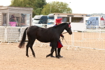 SBM_16578