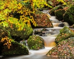 Wyming Brook (1)