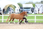 SBM_05832
