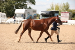 SBM_04584