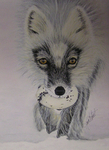 Fox and Egg