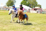 SBM_16734