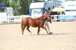 SBM_18964