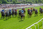 230526-Race 1-Lord Roxby-0279