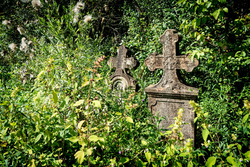 Graves in the Weeds | Gherdeal, Romania