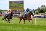 300526-Race 6-Zoustar Dreams-0816