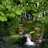 Hidden Holy Well