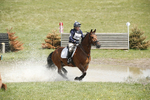 BVHT 140517  IXC -510