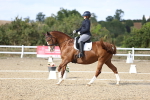 SBM_016049
