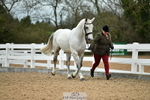 BSHA Qualifier portfolio