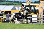 SBM_09375