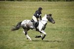 BVHT 140517  IXC -379