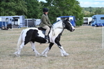 WJ7_6814
