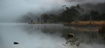 Tranquility
