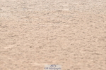 240720A-155653-15403