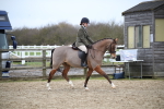 SBM_004731