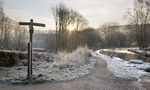 Cromford Canal Frost
