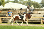 SBM_68191