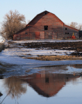 Barn reflection