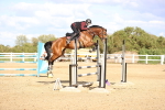SBM_005019