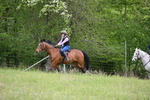 WJ6_1503