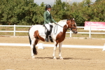 SBM_001988