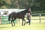 SBM_10405