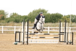 SBM_023479