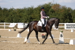 SBM_022696