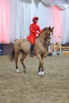 SBM_004211