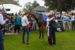 260823-Race 4-Absurde-0945