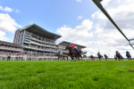 230824-Race 4-Bradsell-4290