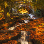 Autumn Cloughleagh River