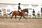 SBM_00539