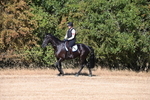 WJ6_6744